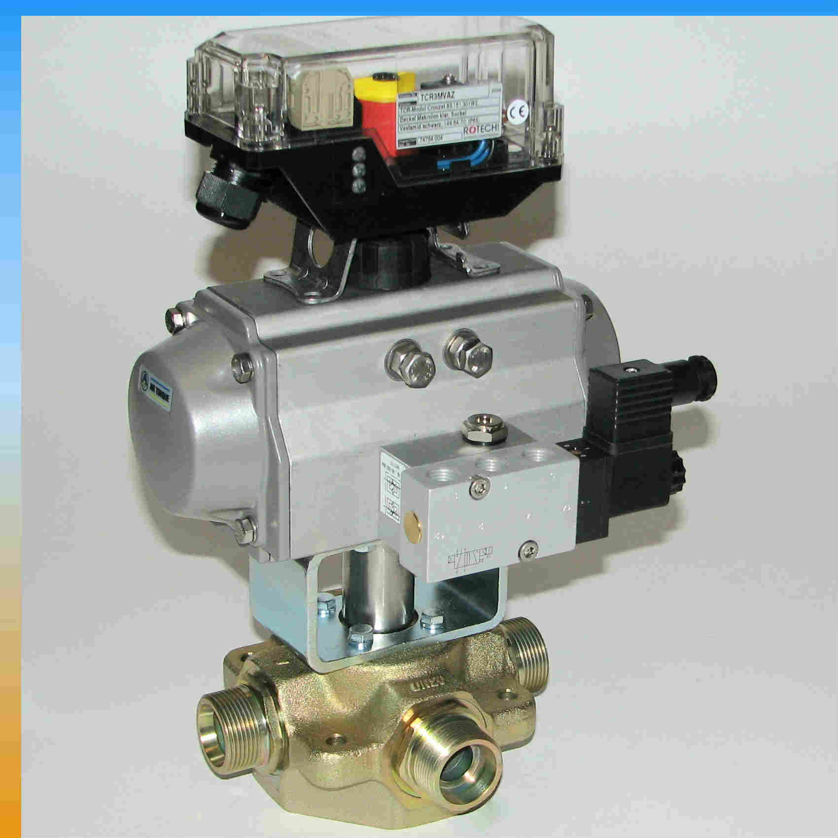 Bild-266-bearbeitet-4